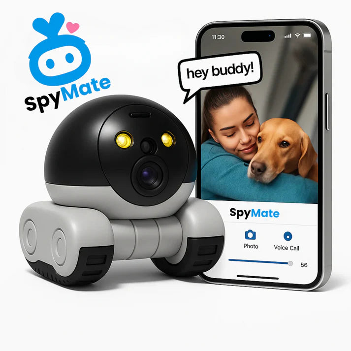 Mini Robot Spy