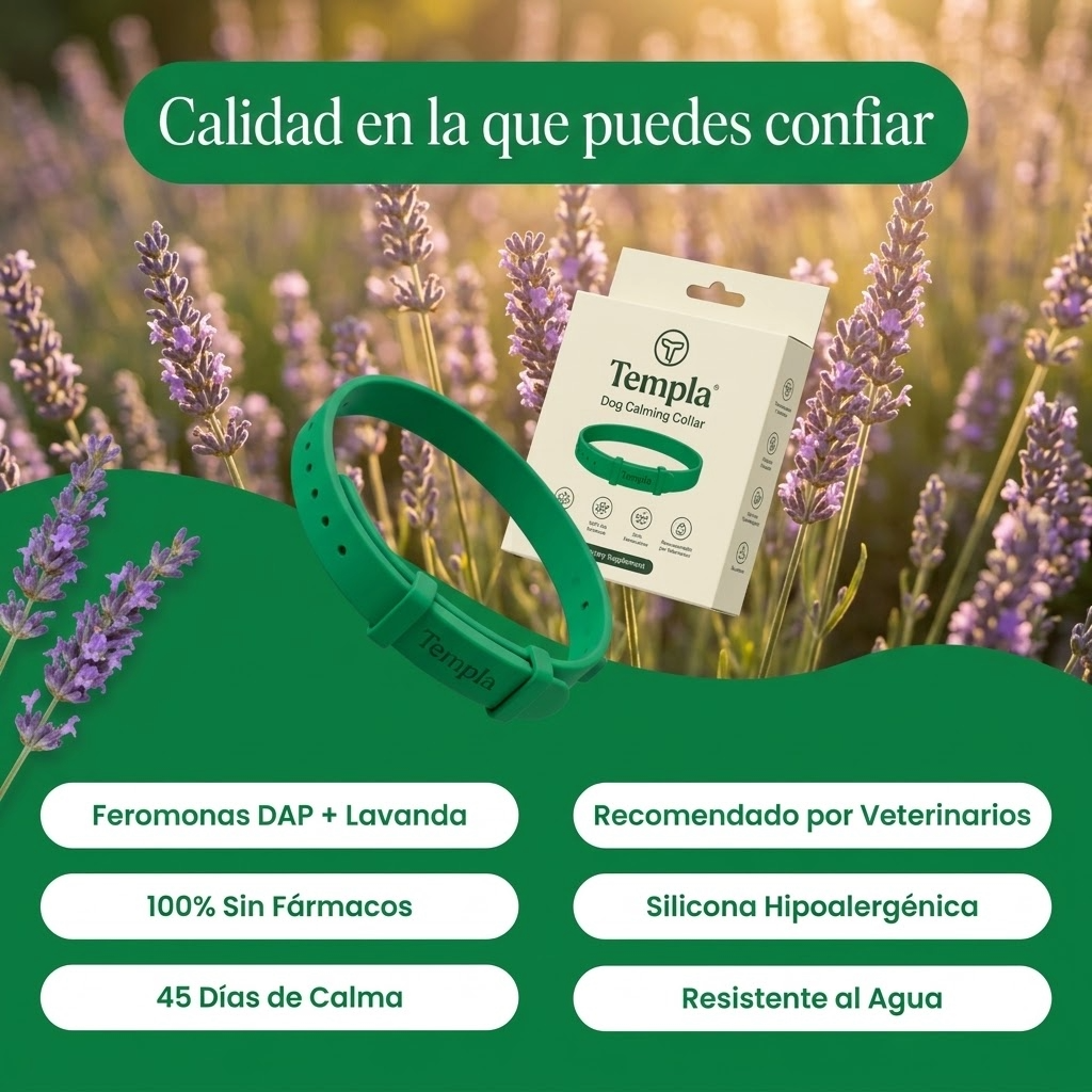 Collar para calmar la ansiedad de tu perro