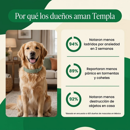 Collar para calmar la ansiedad de tu perro